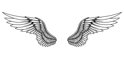 Vector angel wings tattoo design