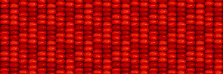 Flint corn kernels, seeds, grains, texture seamless pattern design. Fresh maize cob background, banner. Indian corn, ruby red corn - 609636048