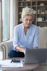 Senior mature accountant woman typing on laptop, making online domestic payment, using calculator, checking finance, personal budget, doing accounting work at home. Vertical shot