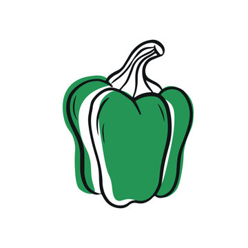 Green bell pepper on white background
