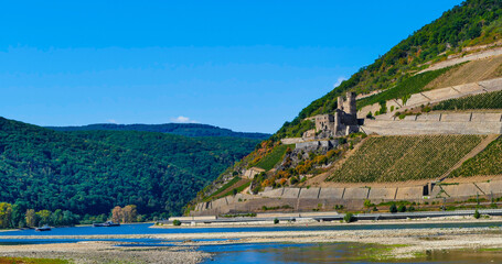 Naklejka premium Burg Ehrenfels am Rhein Sommer