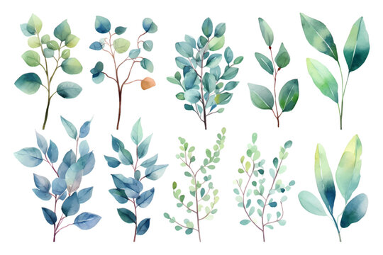 Set of beauty watercolor vector branches