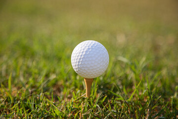  golf ball on tee pegs ready to play in the green background