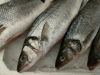 heaps of fresh raw fish are being sold in fish shops, the price of fish in Turkey has risen again due to inflation