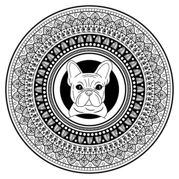 Vector illustration of mandala with french bulldog head for coloring adult book antistress, mandala con testa bulldog francese da colorare per libro adulti antistress