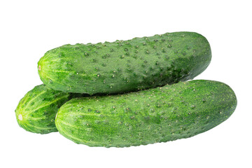 Ripe fresh green cucumbers  isolated on white background. Full depth of field.
