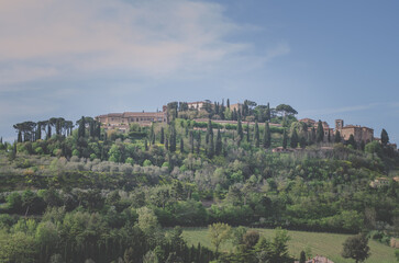 Fototapeta na wymiar Montepulciano, scenic view to the vineyard