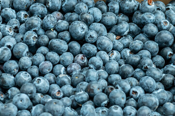 blueberries close up background vitamin e vitamin c