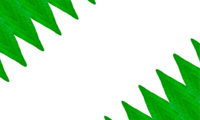 green leaves frame space for text