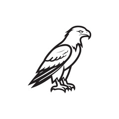 Fototapeta premium Eagle outline line art - Eagle logo - vector icon
