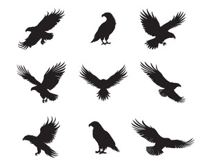 Fototapeta premium Silhouette eagle collection - vector illustration