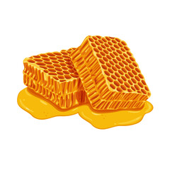 Honeycomb isolated on white background, health product vector isolated on white background.