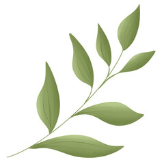 hand drawn flower illustration