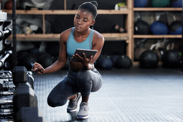 Girl, inspection or personal trainer with a tablet for fitness training dumbbells or workout tools...