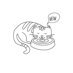cat eats from a bowl - 609651649