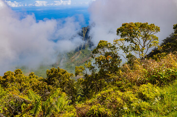 Clouds Shrouding The Na Pali Cliffs of Waimea Canyon, Waimea Canyon, Waimea State Park, Kauai ,Hawaii, USA