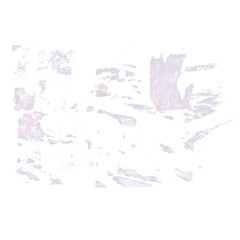 rest of paper that was torn from the wall