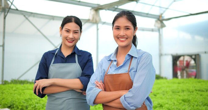 Close up, Portrait of Two young asian woman farmer or owner patner small business of organic vegetable farm standing with arms cross in greenhouse hydroponic looking to camera