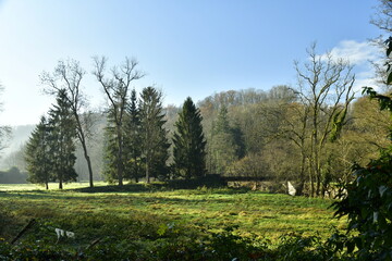 Brume matinale dans la vallée de la Lesse à Anseremme (Dinant) 