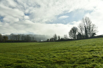 Paysage rurale sous la brume en train de se lever aux environs d'Anseremme au sud de Dinant 