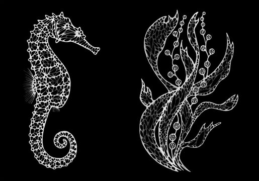 Stylized monochrome graphic drawing of a seahorse and blooming seaweed on black background