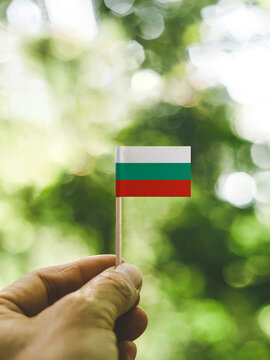 The Flag of Bulgaria which is held in hand at the forest.