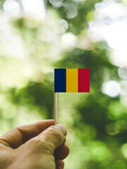 The Flag of Chad which is held in hand at the forest.