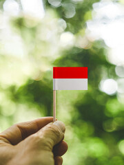 The Flag of Indonesia which is held in hand at the forest.