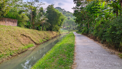 view of irrigation and road with green trees in indonesia