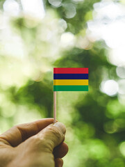 The Flag of Mauritius which is held in hand at the forest.