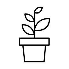 PLANT IN POTS design vector icon design vector line icon svg