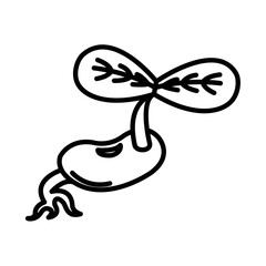 SPROUTS design vector icon design vector line icon svg