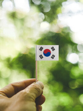The Flag of South Korea which is held in hand at the forest.