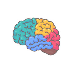 Human brain jagged. The concept of developing learning and creativity skills.