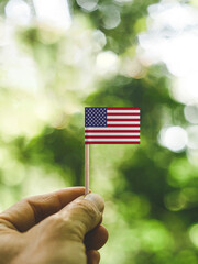 The Flag of United States which is held in hand at the forest.
