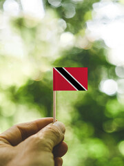 The Flag of Trinidad and Tobago which is held in hand at the forest.