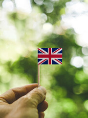 The Flag of United Kingdom which is held in hand at the forest.