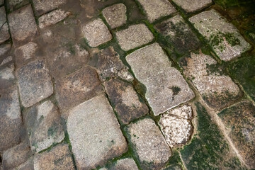 Moss covered stone floor