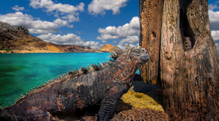 The Galapagos Islands. Panorama of the Galapagos Islands from the height of the island of...
