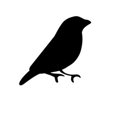 Bird Silhouette Vector 