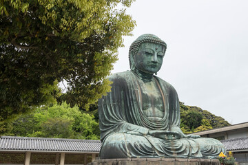 Kamakura Daibutsu great Buddha statue with green leaf