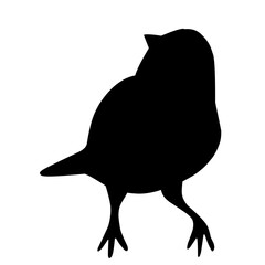 Bird Silhouette Vector 