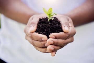 Plant, growth and soil in hands for earth, environment or closeup on gardening care or working in agriculture, farming or nature. Farmer, hand and worker growing green, leaf and life in spring
