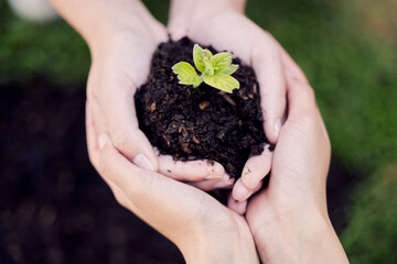 Hands, growth and plant in soil for earth, environment or closeup on gardening care or working in agriculture, farming or nature. Farmer, hand and worker growing green, leaf and life in spring