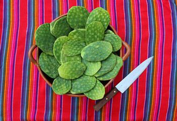 Cazuela de barro con nopales verdes recién cortados y sin espinas, sobre mantel de colores vivos y...