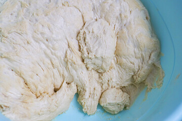 fermented wheat flour dough, raw fermented dough, fermented and maturing dough,