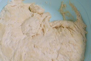 leavened wheat flour dough,raw dough,kneaded and ripening dough,