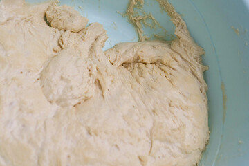 leavened wheat flour dough,raw dough,kneaded and ripening dough,