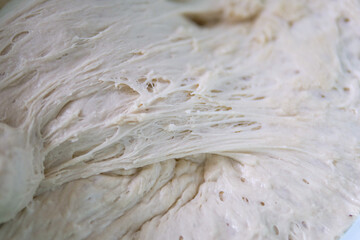 fermented wheat flour dough, raw fermented dough, fermented and maturing dough,