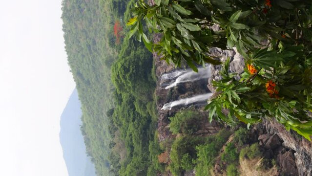 Plant with red Flower - Waterfall and mountains in Background - Barachukki Waterfalls